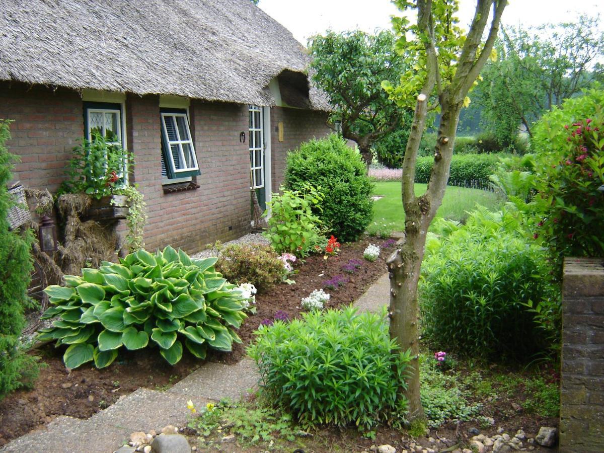 Anton'S Erfje Dalfsen Exterior foto